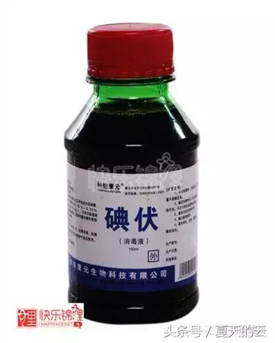 那些你不知道的副业,那些你不知道的观赏鱼