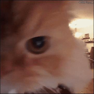 30秒教你学会跳街舞,教你一秒学会的街舞