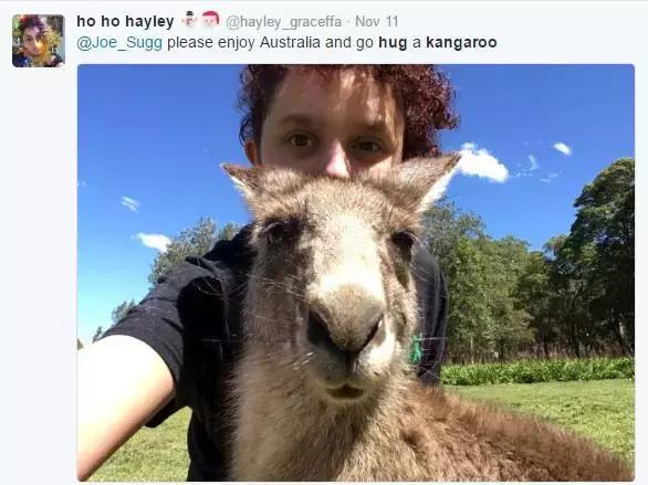 最懂得感恩的袋鼠，十年来每天拥抱救命恩人！袋鼠界的一股清流