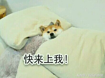 青云志是爆剧吗,青云志两部对比