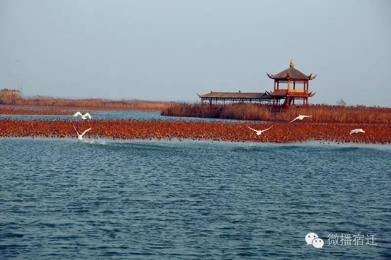 雪中宿迁，素颜都美到窒息！