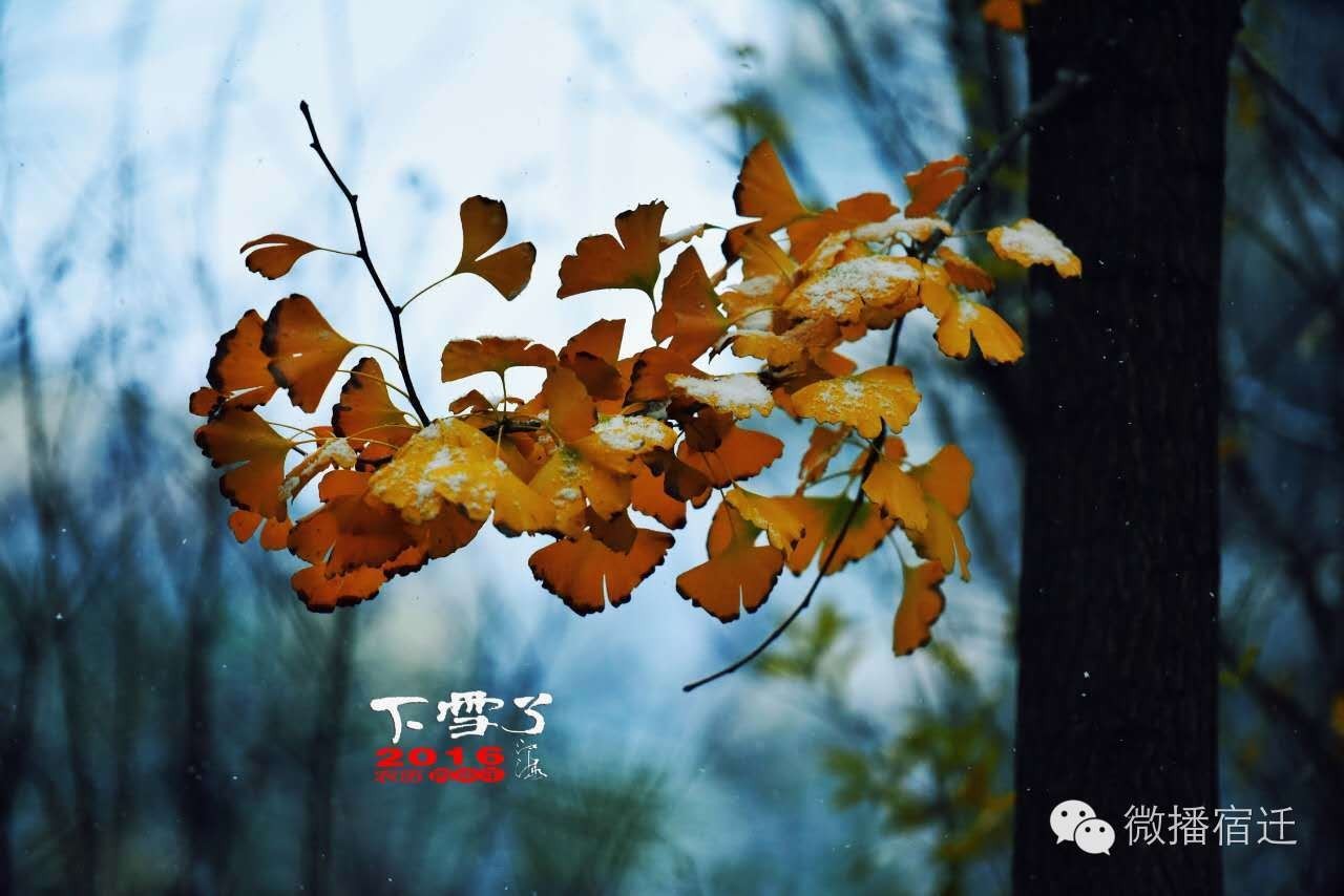 雪中宿迁，素颜都美到窒息！