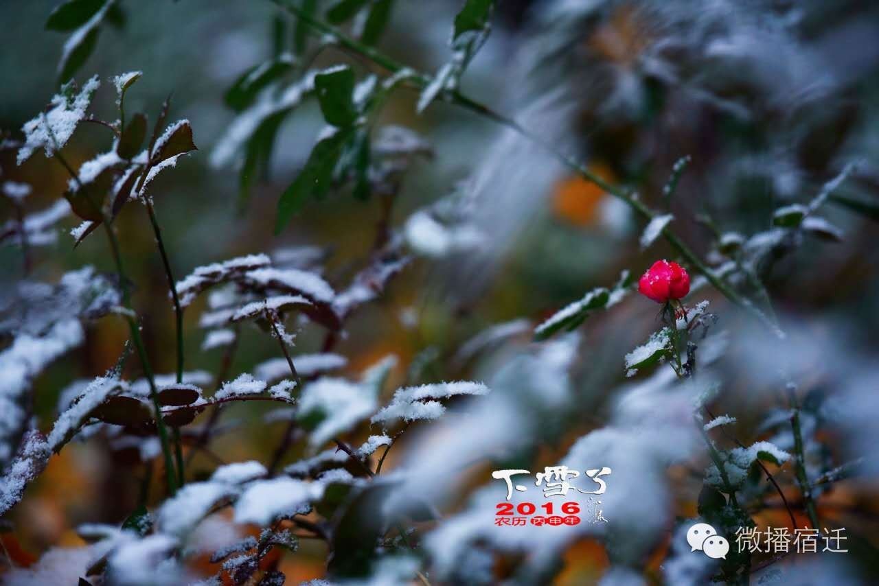 雪中宿迁，素颜都美到窒息！