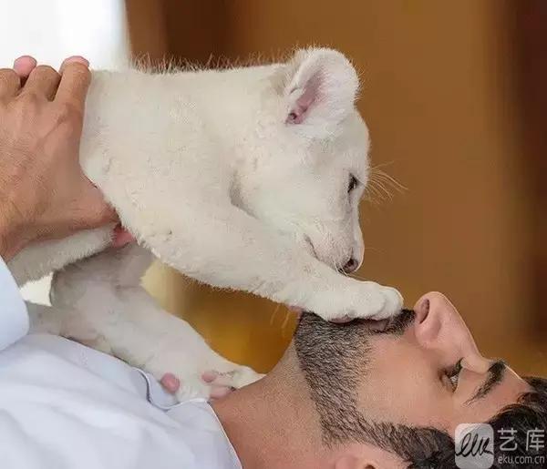 嘘……这里有比《蓝色大海的传说》颜值更高的