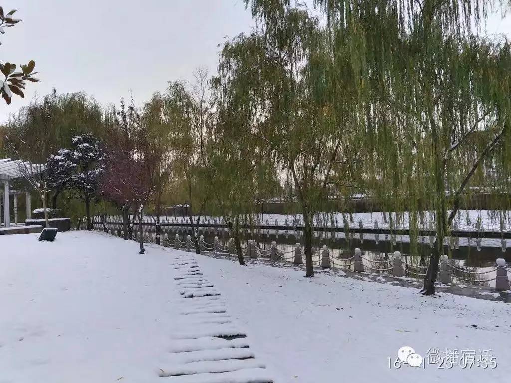 雪中宿迁，素颜都美到窒息！