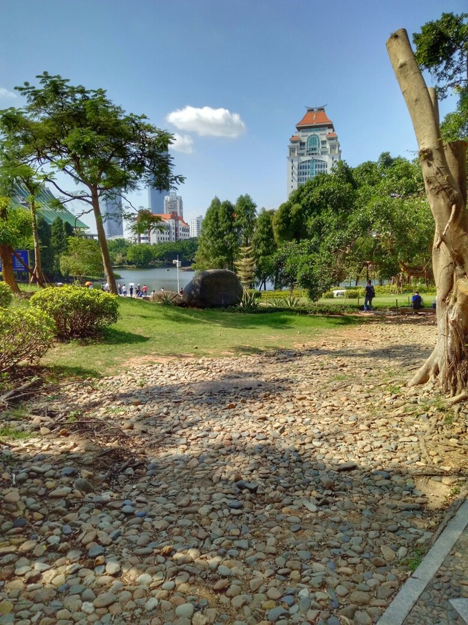 离开睁眼闭眼看见的城市，来到十一月小清新的厦门