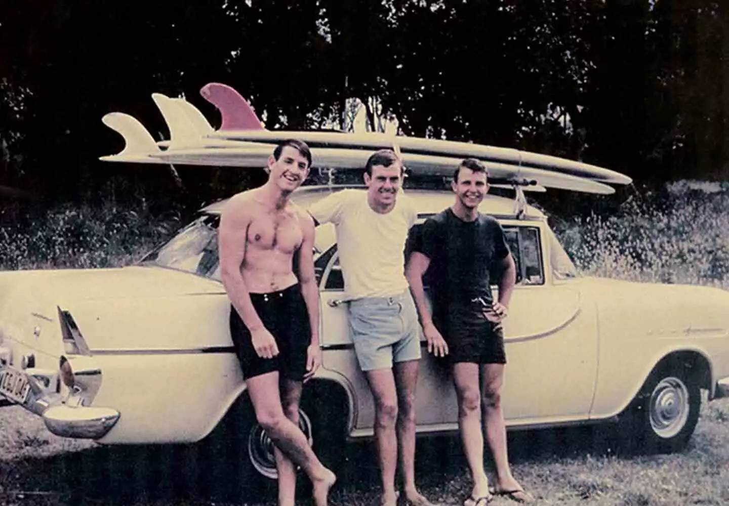 黑5必买,黑五必买十大清单