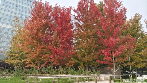 垦鑫达好不好做,垦鑫达是什么档次