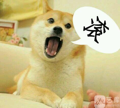 嘘……这里有比《蓝色大海的传说》颜值更高的