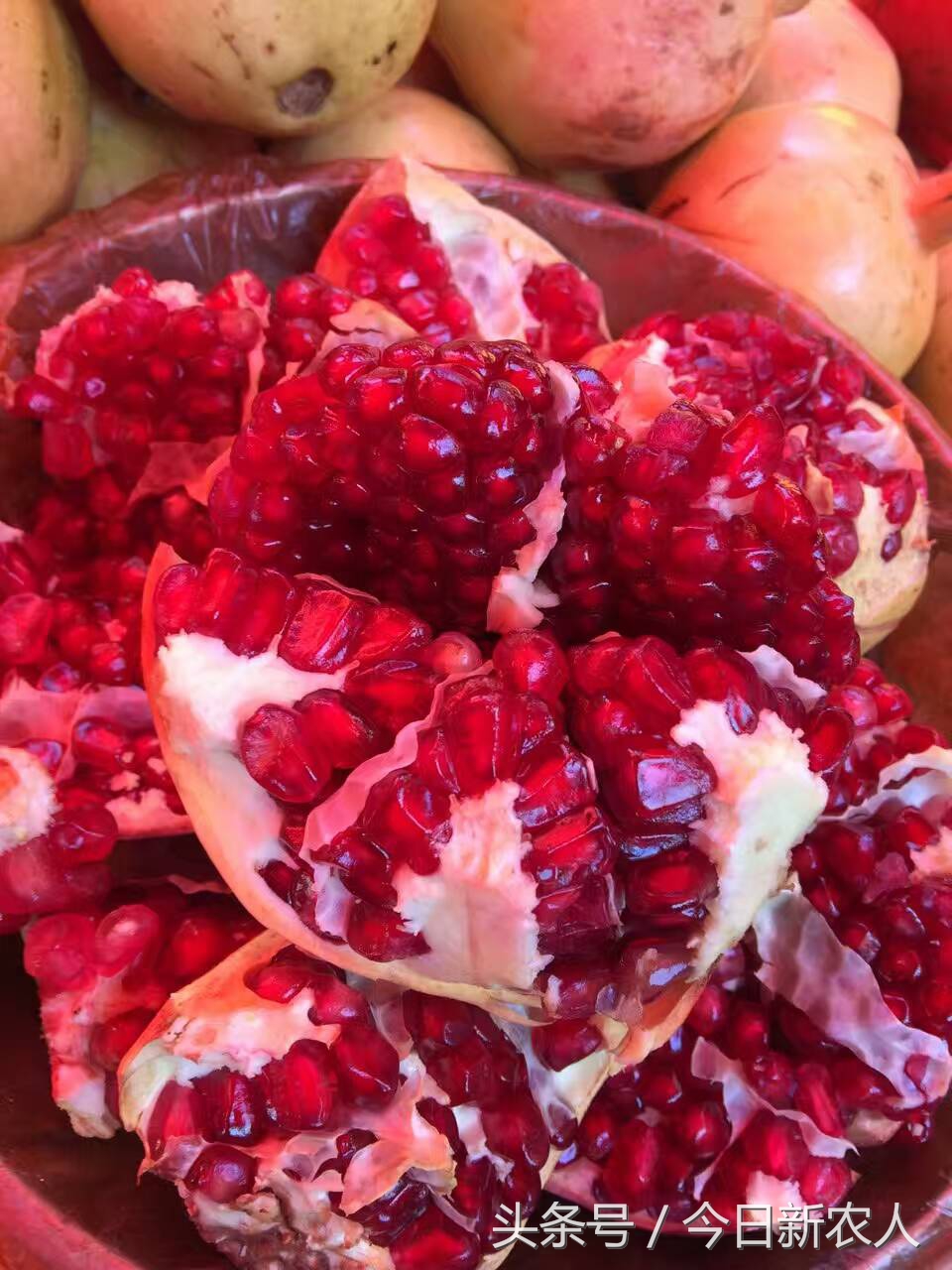 乡村种植农产品有哪些,50亩农田怎么种植多种农产品