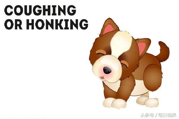 15种狗狗常见病治疗,狗狗生病了有哪些症状