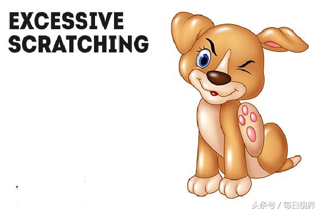 15种狗狗常见病治疗,狗狗生病了有哪些症状