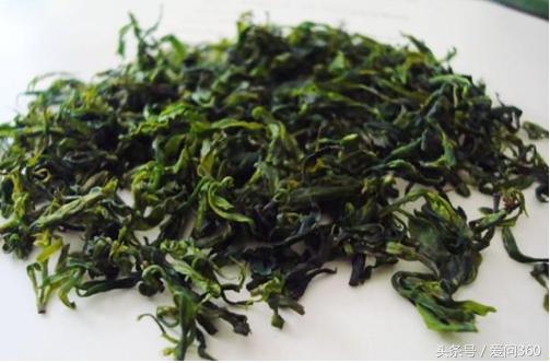 喝发酵小叶苦丁茶有什么好处,长期喝苦丁茶对肝脏有好处吗