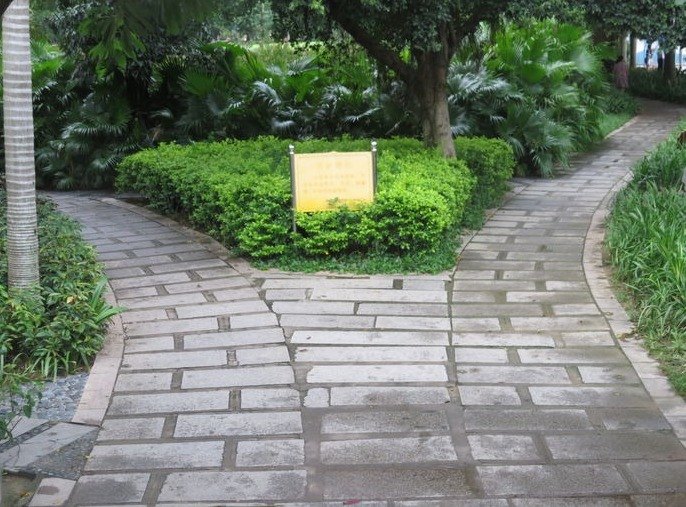 手术治疗颅咽管瘤相关问题