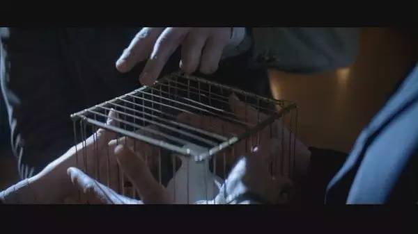 这部电影就像魔术！大师级的悬疑剧情，你不敢猜透的神级结尾！