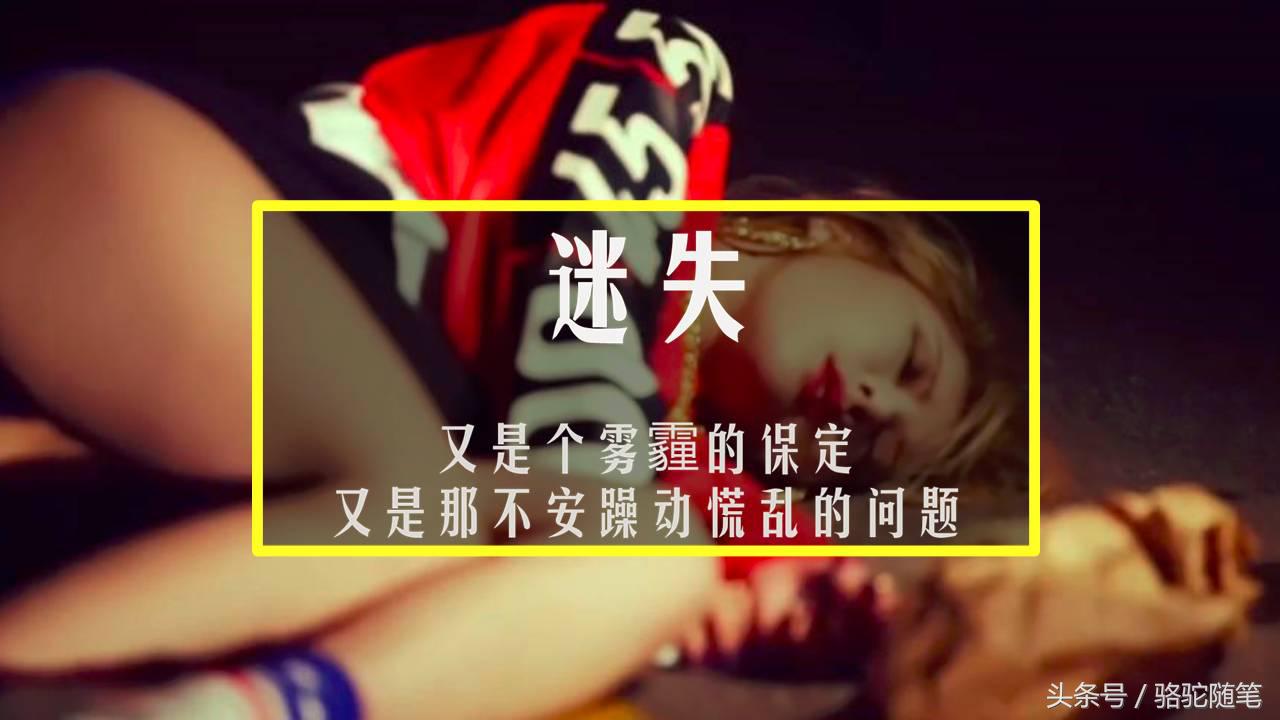 支付宝圈子,支付宝为什么突然火起来