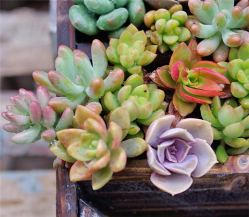 孕妇雾霾严重怎么处理,孕妈妈感冒了如何应对