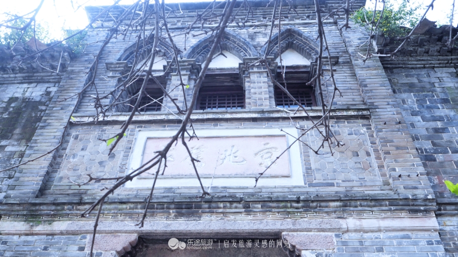 我若问自己客从何处来——浙*青江**田