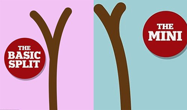 你比明星多了一把分叉发尾6种分叉形态你属哪类