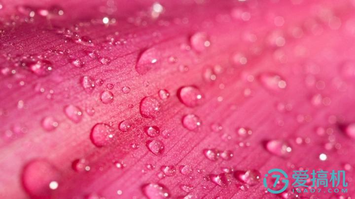 电视人工智能叫什么,电视机人工智能3.0