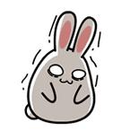 海关为什么不让代购,中国海关代购有风险吗