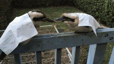 为什么哭的时候喉咙紧,为什么哭的时候喉咙很累