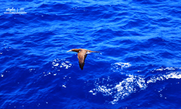 海洋神话号2018航线,海洋神话号在新加坡