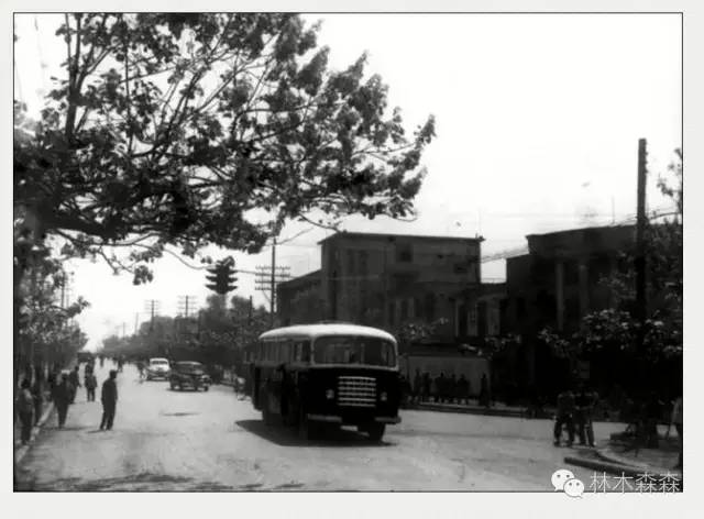 生在淮北，剩在上海