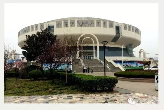 生在淮北，剩在上海