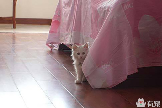 有福之人满满的幸福 (有才和有福的成长日记)