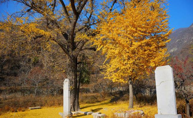 京津冀旅游年卡票,京津冀旅游年卡房山