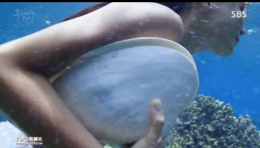 全智贤经典美人鱼,全智贤美人鱼怎么样