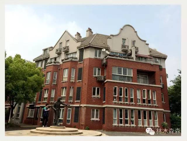 生在淮北，剩在上海