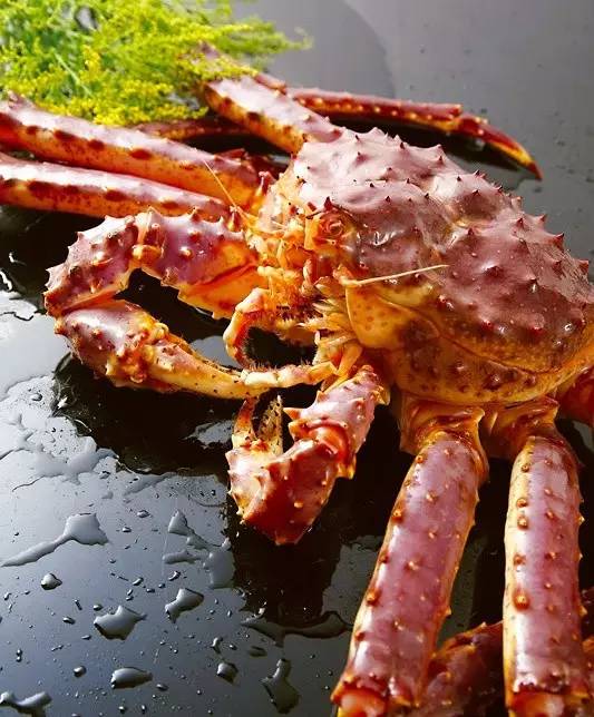 神奇火锅自助,神奇火锅日本