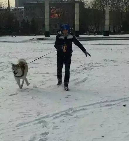 狗狗看雪需要关注什么,下雪天狗狗应该关注什么