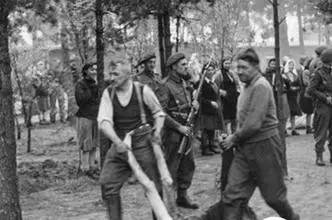 杨教授电击治网瘾,电击治网瘾后怎么样了