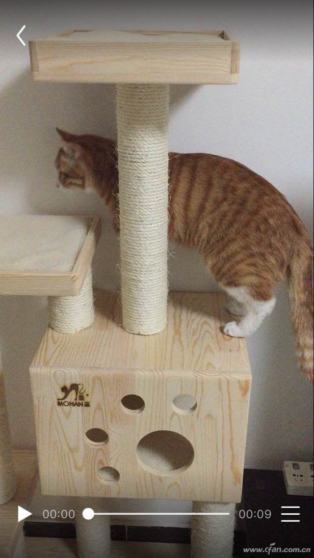 老司机开车手机QQ微信发电脑视频小教程