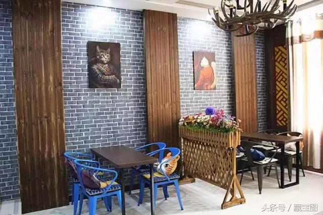 聊城最近发生的新鲜事,聊城最新发生的事件