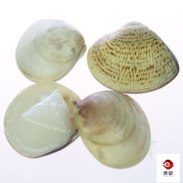 消失的20年当年很火的化妆品,哪些外表不好却很好用的化妆品