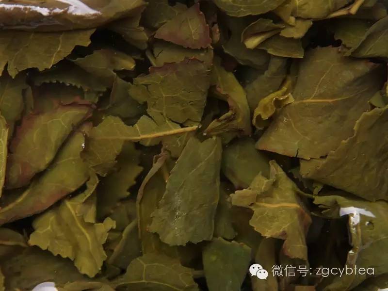 乌龙茶铁观音品质特征有哪些,铁观音茶叶品牌排名前十名是哪些