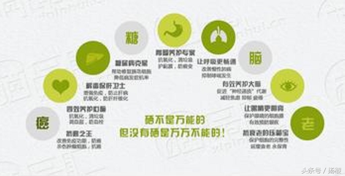 补充钙铁锌硒维生素吃什么,补充维生素锌硒