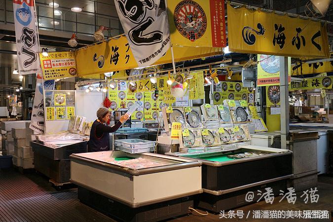 山阴山阳地区五县旅行线路指南