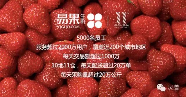 生鲜供应链可以挣钱吗,生鲜电商还能活吗