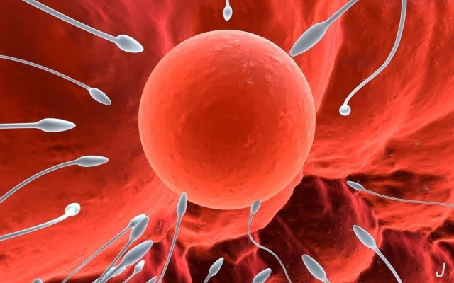 小s没儿子吗,小s生男孩了么