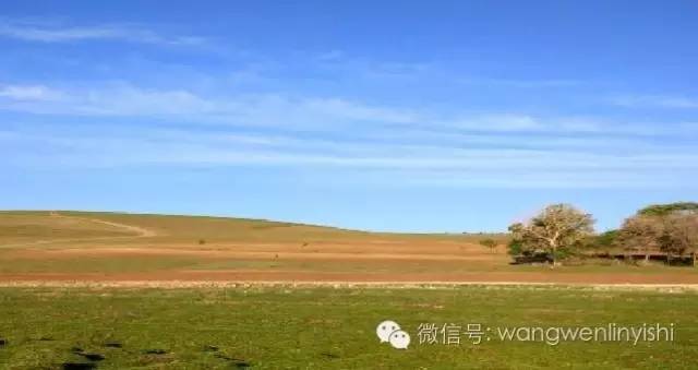 图与真相：什么是胸骨裂？