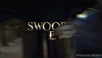 神奇动物中的咒语都有哪些,看神奇动物需要知道的事