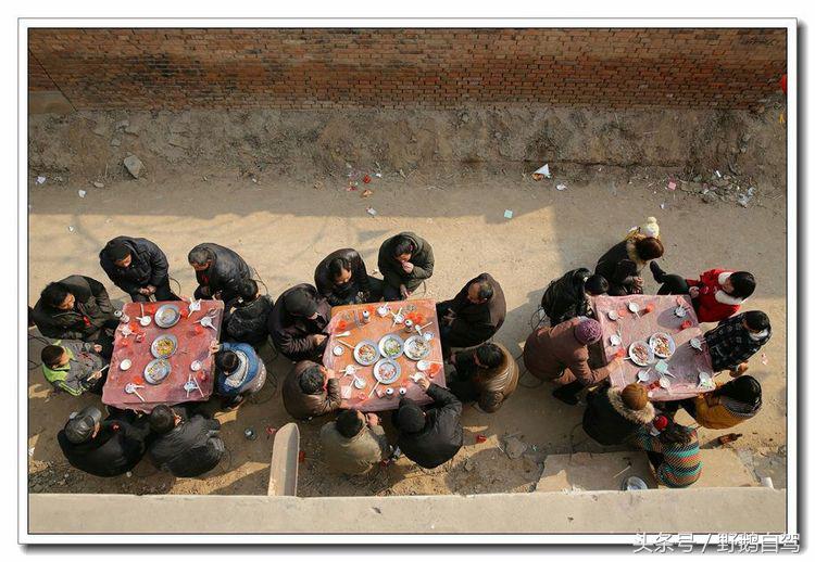 野鹅自驾甘肃,野鹅自驾