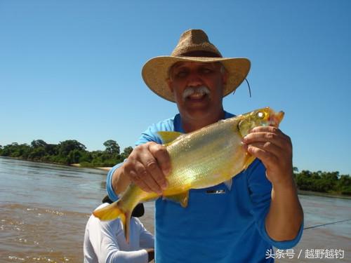 亚马逊钓鱼钓到最大的鱼,亚马逊钓到1吨的鱼