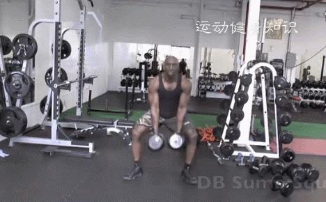 哑铃健身动作每天练几个最好,哑铃健身动作最好的锻炼方法