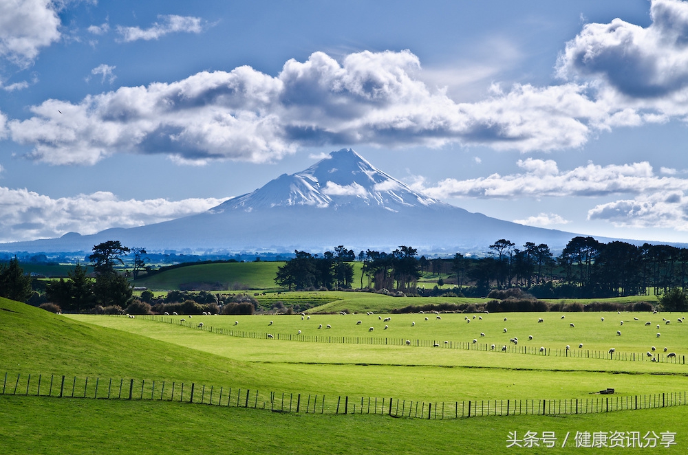 新西兰中老年奶粉推荐,新西兰奶粉查防伪